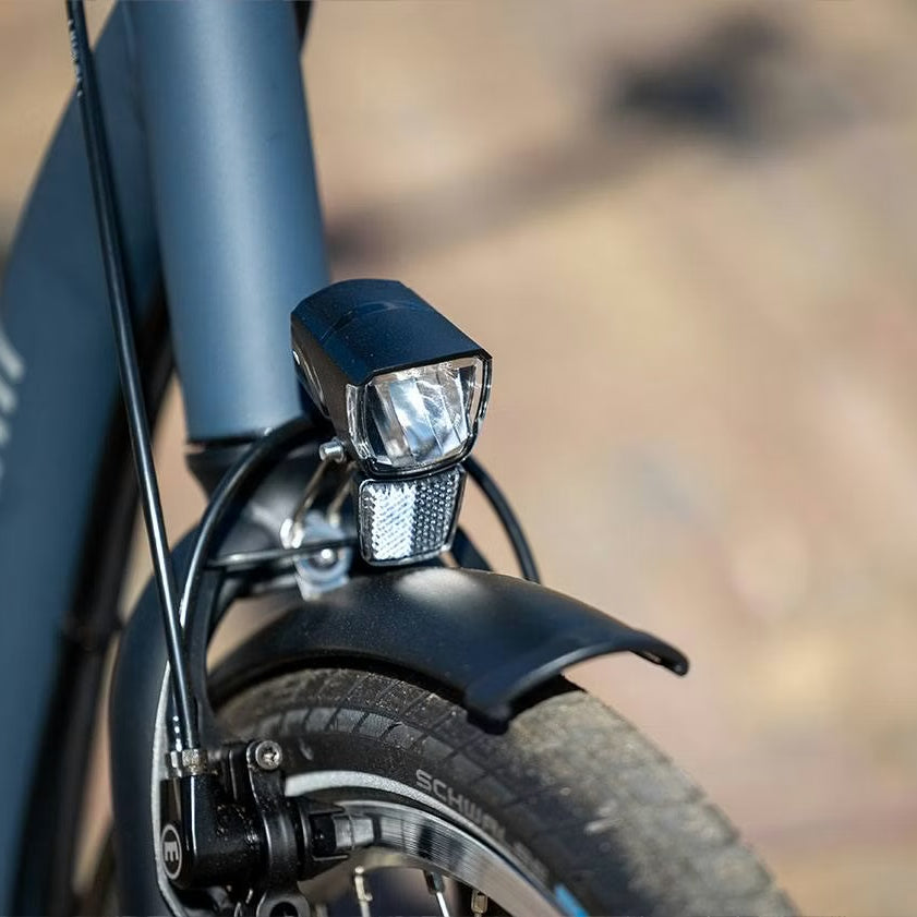 Van Raam Balance lage instapfiets