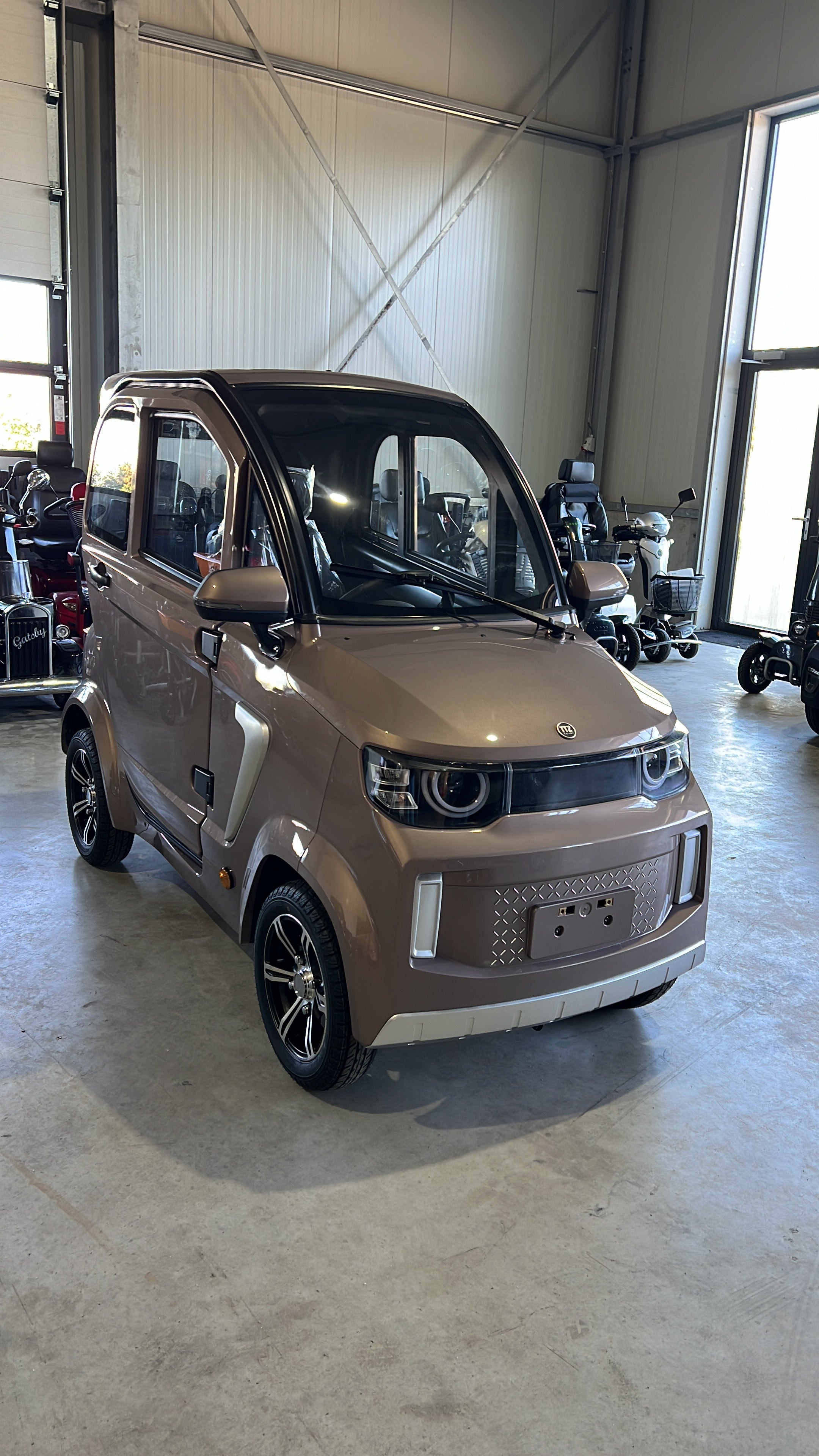 Elektrische invalide voertuig TTZ Electric 100 AH LITHIUM