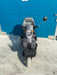 Scootmobiel Logic 2e hands - TotaalThuisZorg